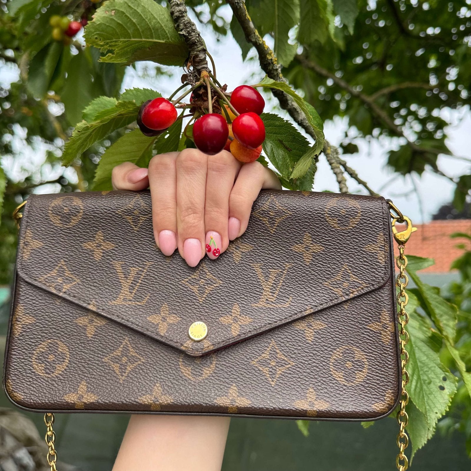 Purse Curse pre-owned Louis Vuitton pochette Félicie.