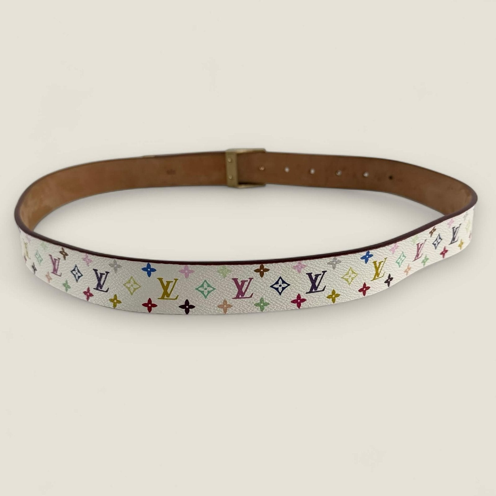 Louis Vuitton multicolor riem wit canvas