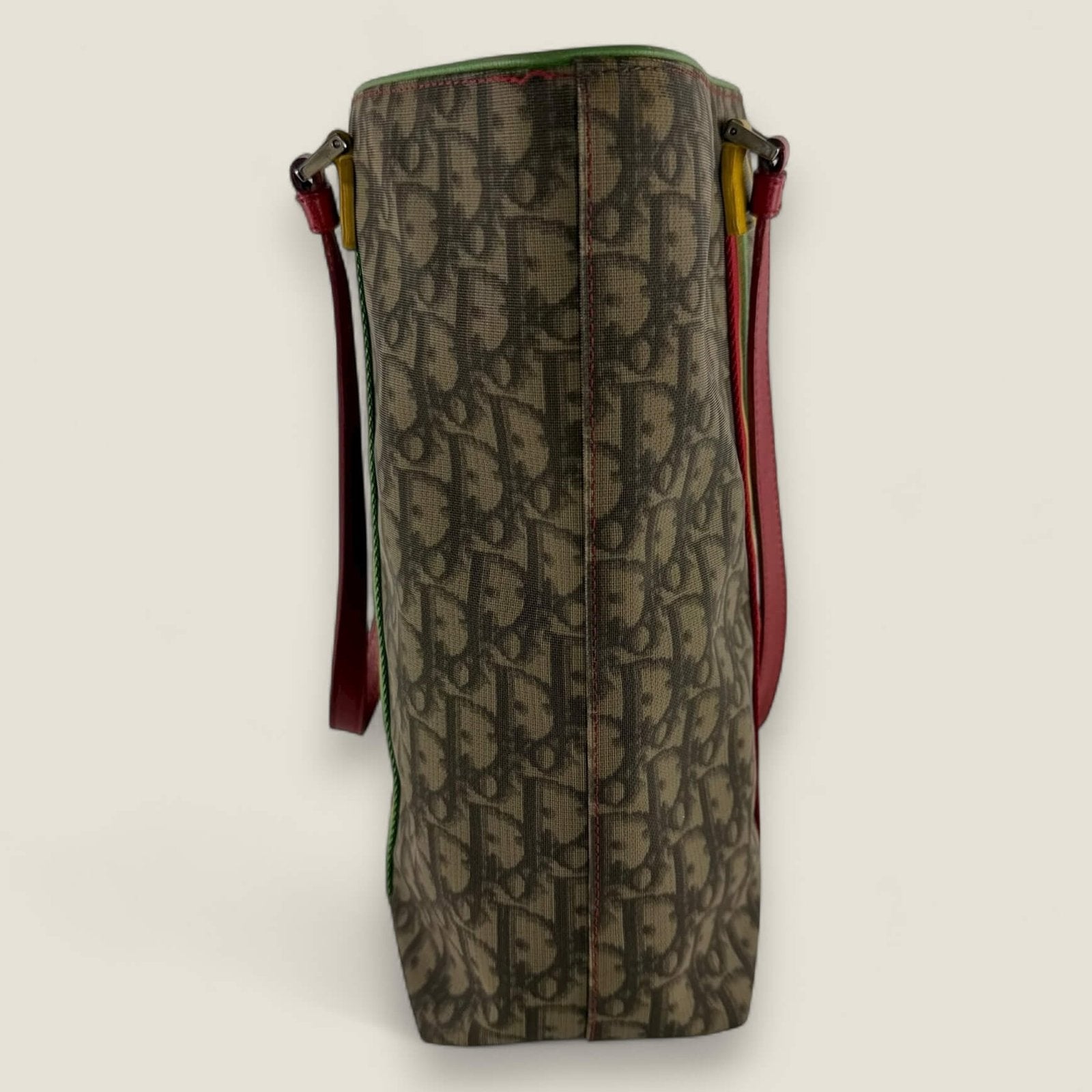 Pre-owned Christian Dior Rasta Trotter tote bag