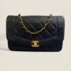 Pre-owned Chanel small Diana bag 1994-1996