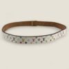 Louis Vuitton multicolor riem wit canvas