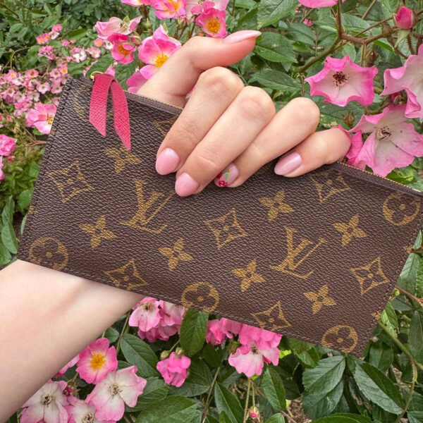 Louis Vuitton pouch