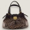 Tweedehands Louis Vuitton Sistina PM Damier designer tas Purse Curse