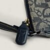 Dior Saddle Bag with Gold Hardware
