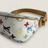 Pre-owned Louis Vuitton multicolor bag