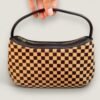 louis-vuitton-damier-sauvage-tigre-limited-edition