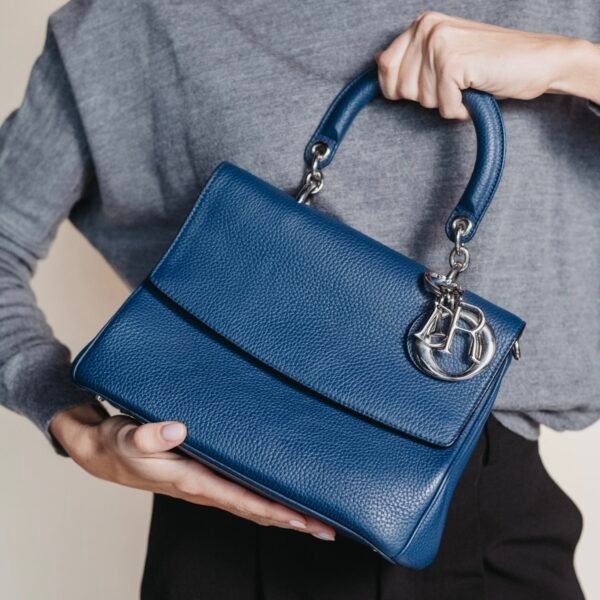 Purse Curse Christian Dior small Be DIor