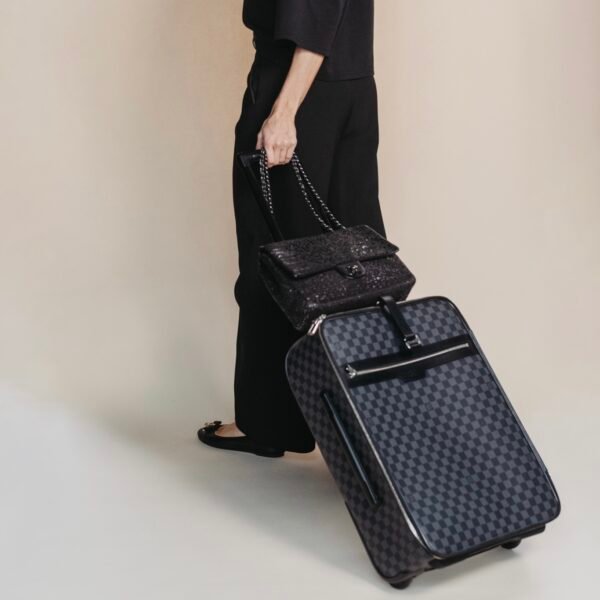 Louis Vuitton Pegase 45 Damier Graphite trolley Purse Curse Louis Vuitton Pegase 45 Damier Graphite trolley Purse Curse